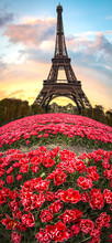 Paris, Flowers And Eiffel Tower