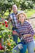 © JackF - Positive engaged in gardening