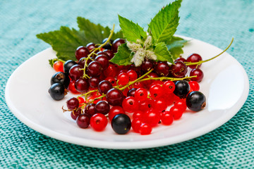 Wall Mural - Currants on the plate