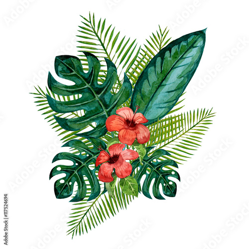 photo Tropical Leaves Drawing Background https stock adobe com images set of tropical flowers and various palm leaves isolated on white background drawing by hand watercolor illustration 117524694 start checkout 1 content id 117524694