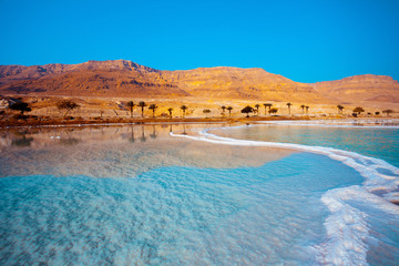 Fototapete - Dead Sea seashore with palm trees and mountains on background