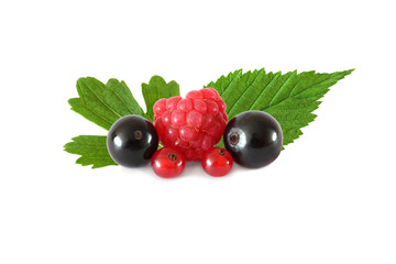 Various fresh fruits berries (raspberries, black currants, red c