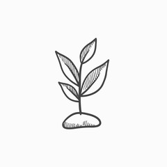 Wall Mural - Sprout sketch icon.