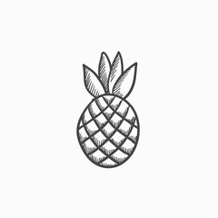 Sticker - Pineapple sketch icon.