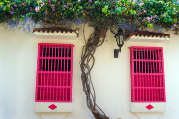 Fototapete - Pink Windows and White Walls