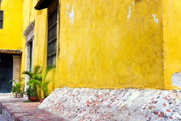 Fototapete - Colonial Architecture and Plants