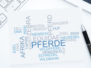 Poster - Pferde