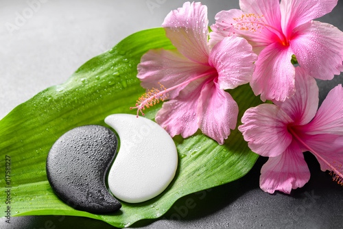 Fotografía beautiful spa concept of pink hibiscus flowers and Yin-Yang of s