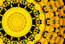 Yellow Floral Kaleidoscope Pattern
