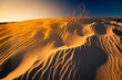 Sand dune flux lines