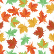 Autumn textile vector. Maple leaf seamless pattern. Foliage background. Green, yellow, orange and red.