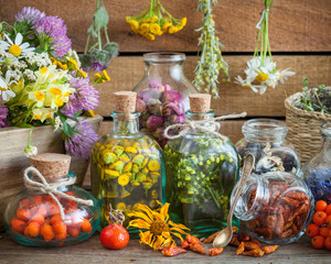 Wall Mural - bottles of tincture and healthy herbs, healing herbs in wooden b