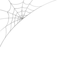 Vector Illustration Of A Spiderweb On A White Background