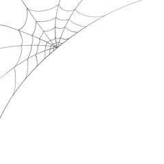 Vector Illustration of a Spiderweb on a White Background