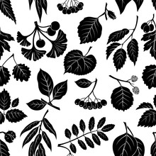 Seamless Nature Background With Pictogram Tree Leaves, Willow, Hawthorn, Poplar, Aspen, Ginkgo Biloba, Elm, Alder, Linden, Rowan, Chestnut, Black Chokeberry And Beech. Black On White. Vector