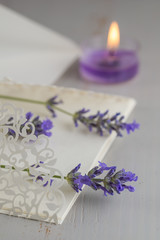  lavender letter