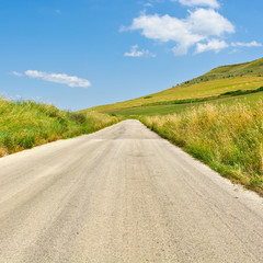 Canvas Print - Asphalt Road