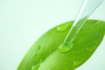 water drop from leaf and laboratory for natural chemistry concept

