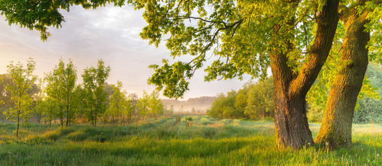 misty sunny morning