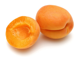 Sticker - Apricot