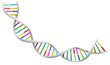 White spiral DNA strand.