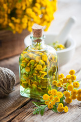 Wall Mural - tincture bottles of tansy healthy herbs, healing herbs