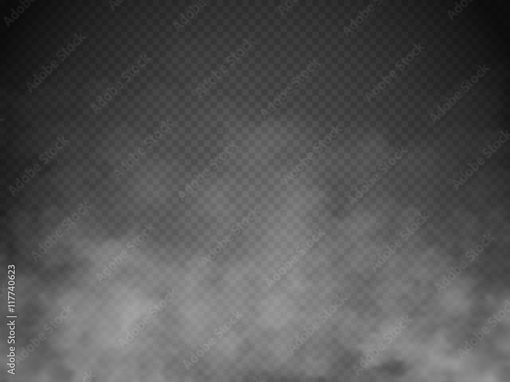 Fog or smoke isolated transparent special effect. White vector cloudiness, mist or smog background. Vector illustration - obrazy, fototapety, plakaty 