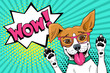 Wow pop art dog. Funny surprised dog in glasses with open mouth rising his paws up. Vector illustration in retro comic style. Vector pop art background.