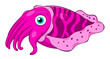 Cartoon cuttlefish