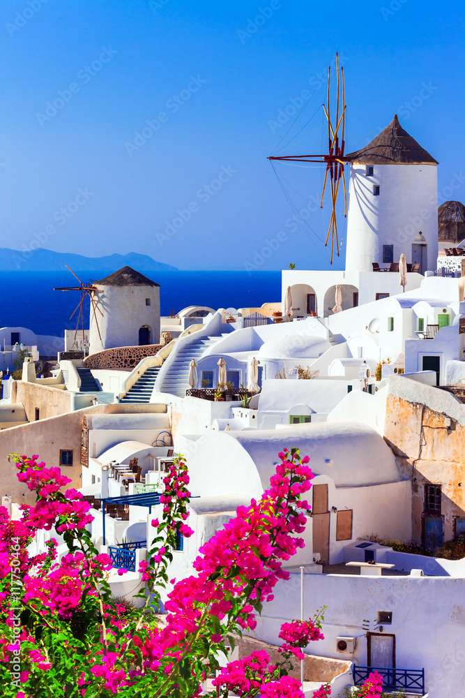beautiful Greece . traditional windmills of Santorini - obrazy, fototapety, plakaty 