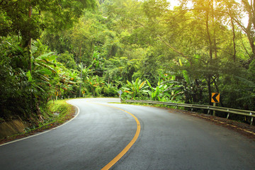 Wall Mural - Abstract background of route and journey amidst the natural beautiful in the forests.