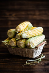 Canvas Print - corn cobs