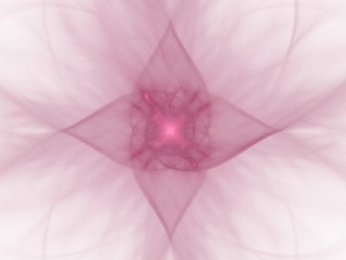 Wall Mural - pink abstract flower with pointed petals on a white background