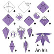 Step by step instructions how to make origami An Iris (flower).