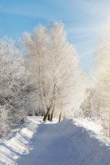  winter scene