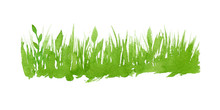 Vector Green Watercolor Natural, Organic, Bio, Eco Label And Shape, Grass On White Background. Hand Drawn Stain.