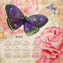 Year 2017 Vintage Style Calendar With Watercolor Butterflies