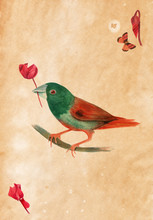 Bird With Cyclamen Flowers On Aged Paper Texture With Copyspace