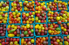 Cherry And Heirloom Tomatoes In Containers Close-up Pattern
