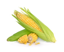 Corn Isolated On White Background.