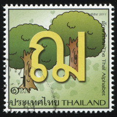 Poster - The letter of the Thai alphabet