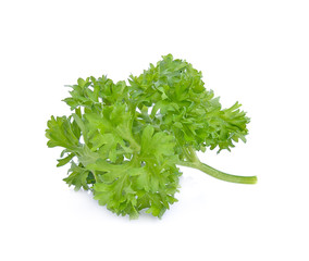 Wall Mural - parsley isolated on white background