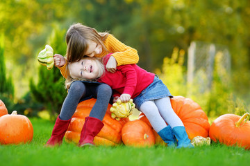 two pretty little sisters having fun together on a pumpkin patch