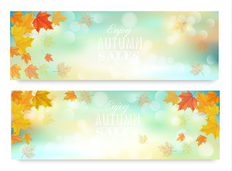 Poster - Two abstract autumn banners with color leaves.Vector