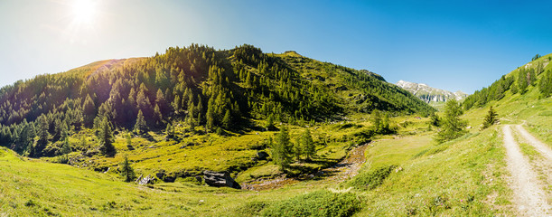 Wall Mural - Wandern Richtung Saflischpass, Graubünden, Schweiz