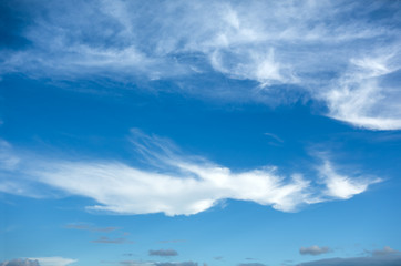 Wall Mural - beautiful sky with clouds background.