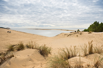 Poster - View of The Arcachon Bay and The Duna of Pyla, France