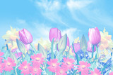 Fototapeta Tulipany - Spring flowers on a background of blue sky with clouds