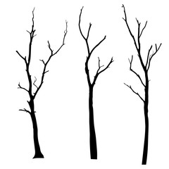 vector black silhouette of a bare tree