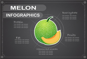 cantaloupe melon, infographics. fruits vector illustration